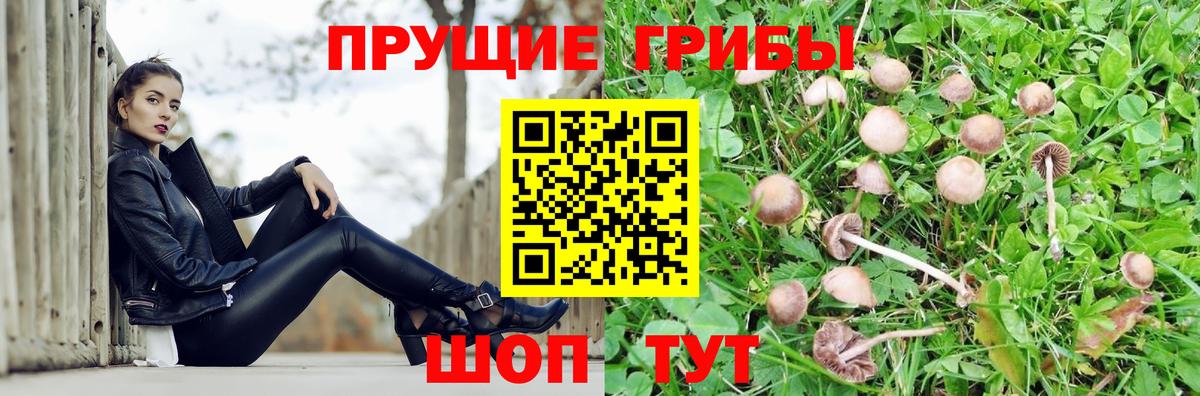 Карталы  Псилоцибиновые грибы MAGIC MUSHROOMS  Вход с VPN  купить  цена  Галлюциногенные грибы MAGIC MUSHROOMS 