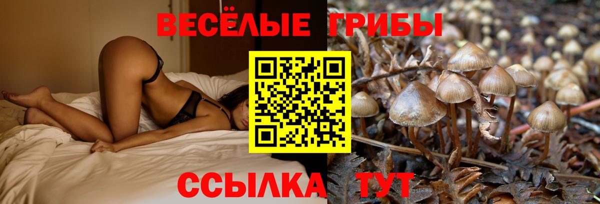 Галлюциногенные грибы ЛСД Карталы